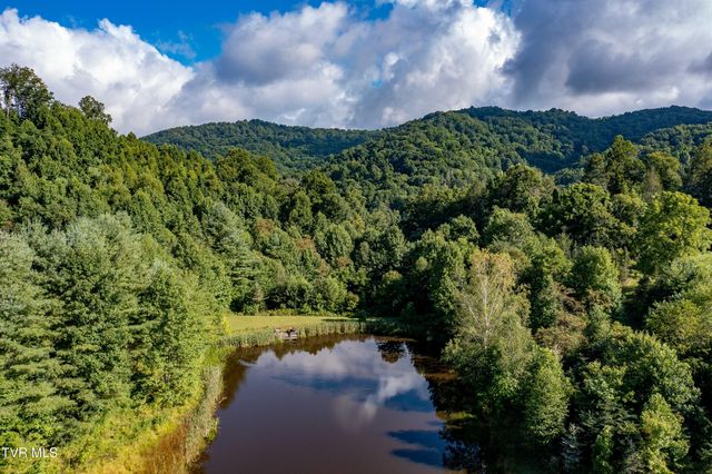 306 Bear Branch Rd, Roan Mountain, TN 37687