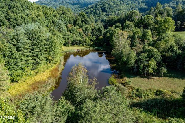 306 Bear Branch Rd, Roan Mountain, TN 37687