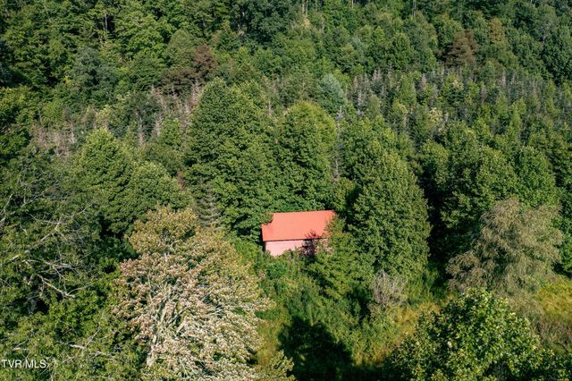 306 Bear Branch Rd, Roan Mountain, TN 37687