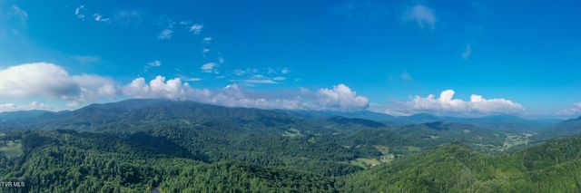 306 Bear Branch Rd, Roan Mountain, TN 37687