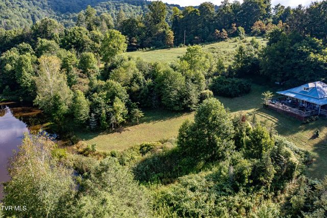 306 Bear Branch Rd, Roan Mountain, TN 37687