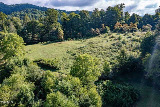 306 Bear Branch Rd, Roan Mountain, TN 37687