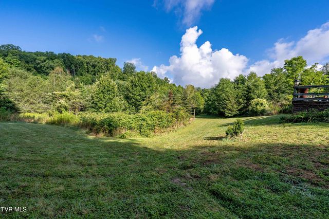306 Bear Branch Rd, Roan Mountain, TN 37687