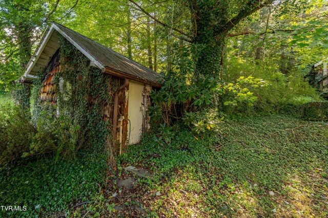 306 Bear Branch Rd, Roan Mountain, TN 37687