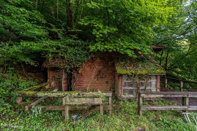306 Bear Branch Rd, Roan Mountain, TN 37687