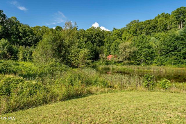 306 Bear Branch Rd, Roan Mountain, TN 37687