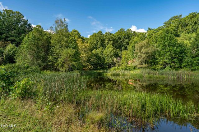 306 Bear Branch Rd, Roan Mountain, TN 37687