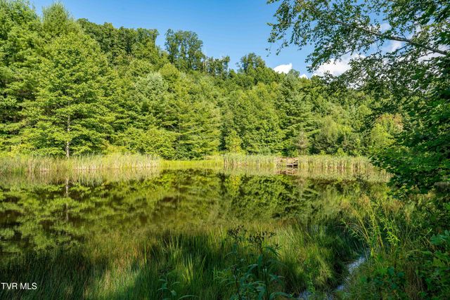 306 Bear Branch Rd, Roan Mountain, TN 37687