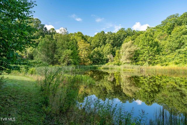 306 Bear Branch Rd, Roan Mountain, TN 37687