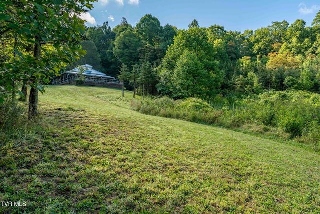 306 Bear Branch Rd, Roan Mountain, TN 37687