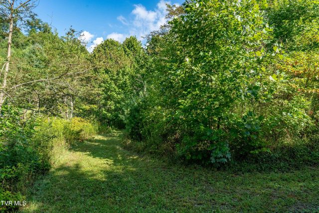 306 Bear Branch Rd, Roan Mountain, TN 37687