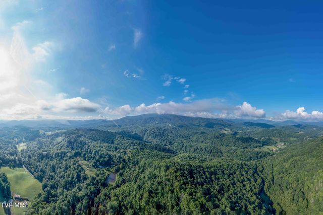 306 Bear Branch Rd, Roan Mountain, TN 37687