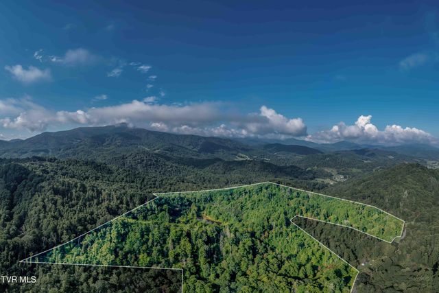 306 Bear Branch Rd, Roan Mountain, TN 37687