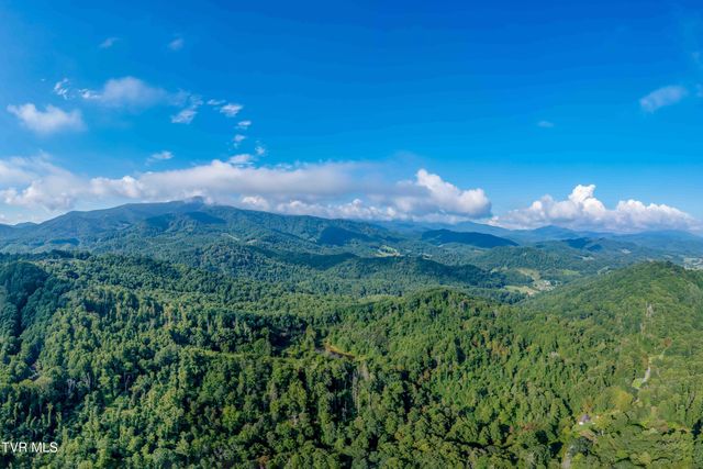 306 Bear Branch Rd, Roan Mountain, TN 37687