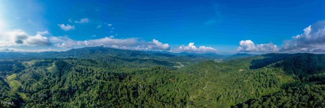 306 Bear Branch Rd, Roan Mountain, TN 37687