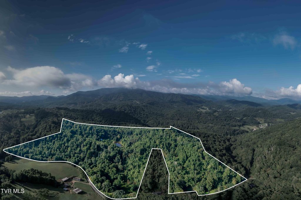 306 Bear Branch Rd, Roan Mountain, TN 37687