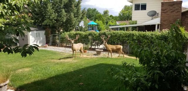 386 N 1100 E, Orem, UT 84097