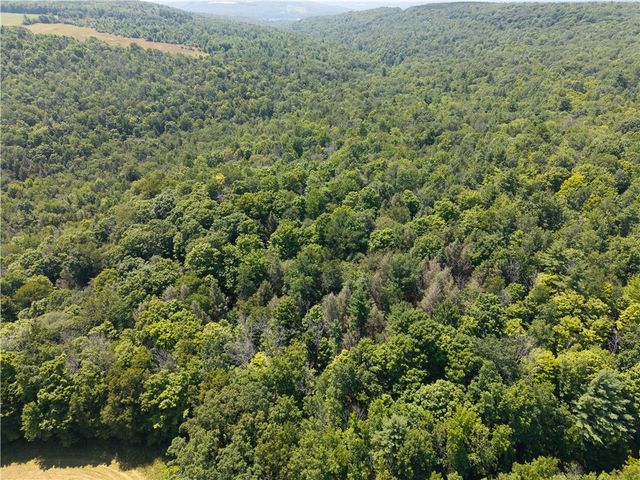 4942 Blank Hill Road, Ossian, NY 14437