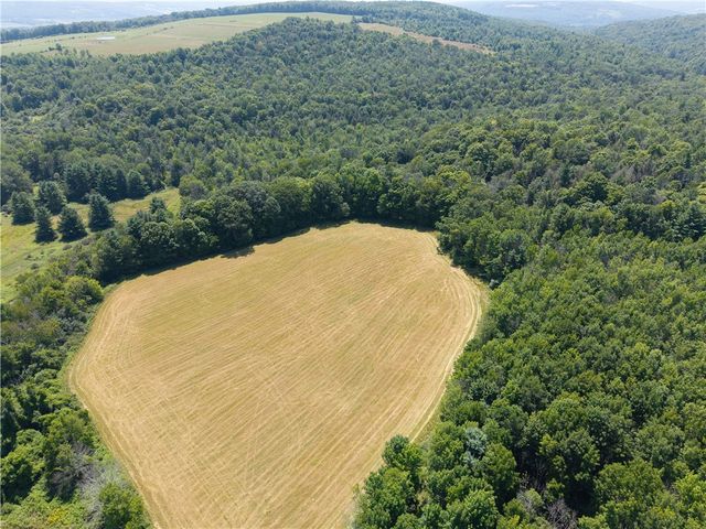 4942 Blank Hill Road, Ossian, NY 14437