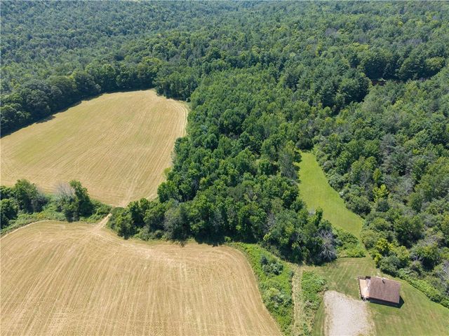 4942 Blank Hill Road, Ossian, NY 14437