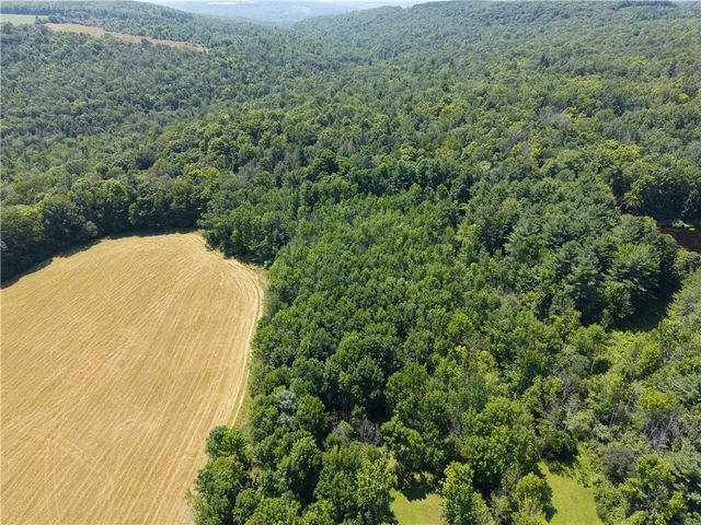 4942 Blank Hill Road, Ossian, NY 14437