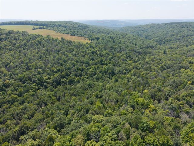 4942 Blank Hill Road, Ossian, NY 14437