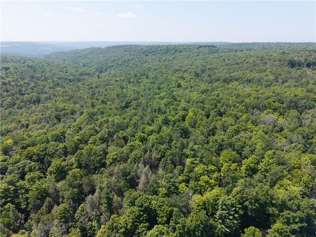 4942 Blank Hill Road, Ossian, NY 14437