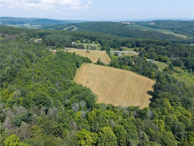 4942 Blank Hill Road, Ossian, NY 14437