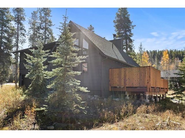14 Red Feather Rd, Breckenridge, CO 80424