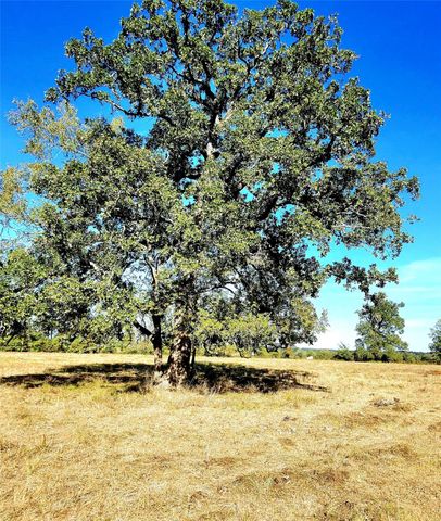 TBD Mt Zion Road S, New Waverly, TX 77358