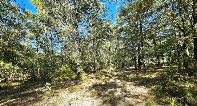 TBD Mt Zion Road S, New Waverly, TX 77358