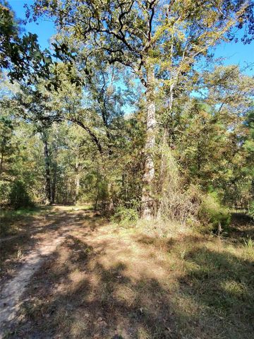TBD Mt Zion Road S, New Waverly, TX 77358