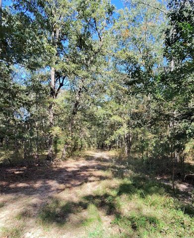 TBD Mt Zion Road S, New Waverly, TX 77358