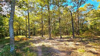 TBD Mt Zion Road S, New Waverly, TX 77358