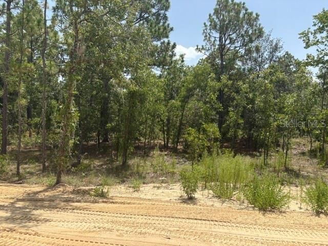 5535 SW 121ST TERRACE, Ocala, FL 34481