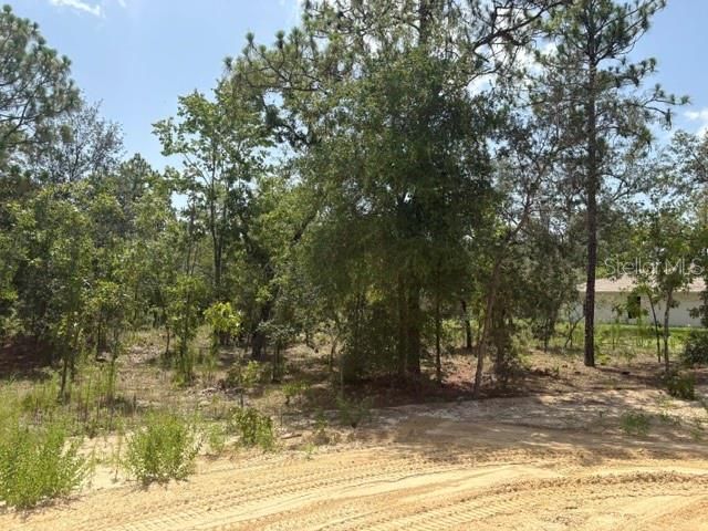 5535 SW 121ST TERRACE, Ocala, FL 34481