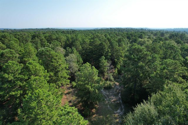 TBD ACR 1220, Grapeland, TX 75844