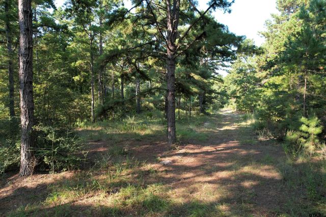 TBD ACR 1220, Grapeland, TX 75844