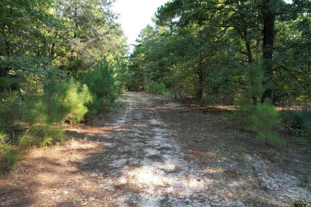 TBD ACR 1220, Grapeland, TX 75844