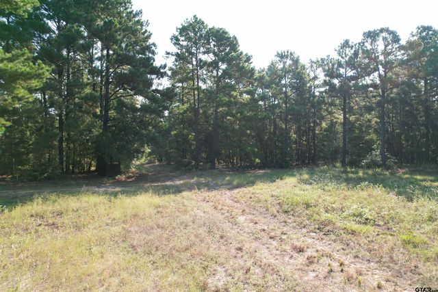 TBD ACR 1220, Grapeland, TX 75844