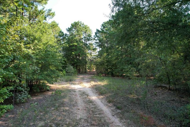 TBD ACR 1220, Grapeland, TX 75844