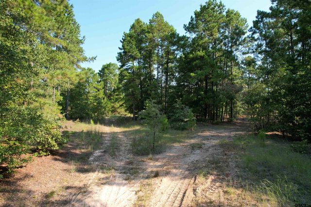 TBD ACR 1220, Grapeland, TX 75844