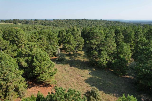 TBD ACR 1220, Grapeland, TX 75844