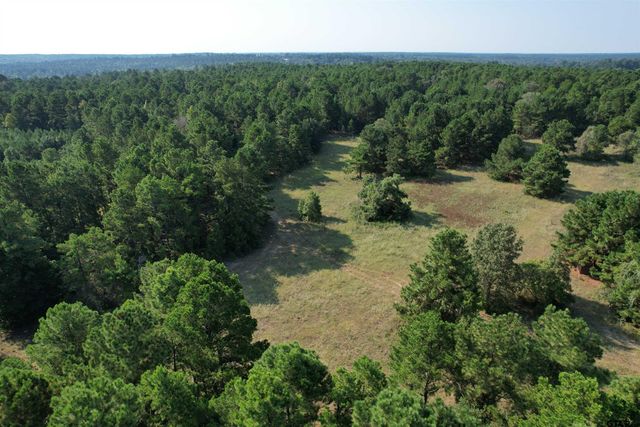 TBD ACR 1220, Grapeland, TX 75844