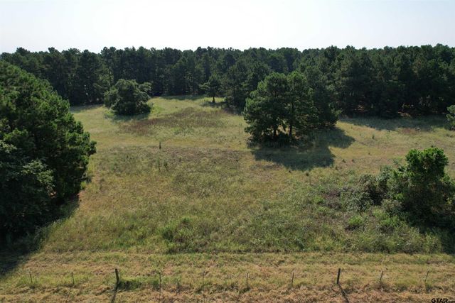 TBD ACR 1220, Grapeland, TX 75844