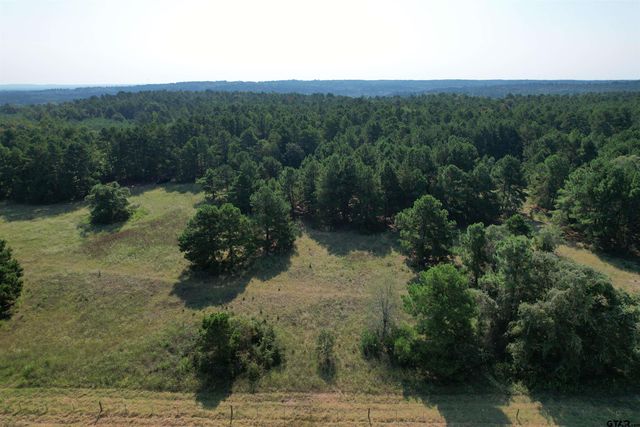 TBD ACR 1220, Grapeland, TX 75844