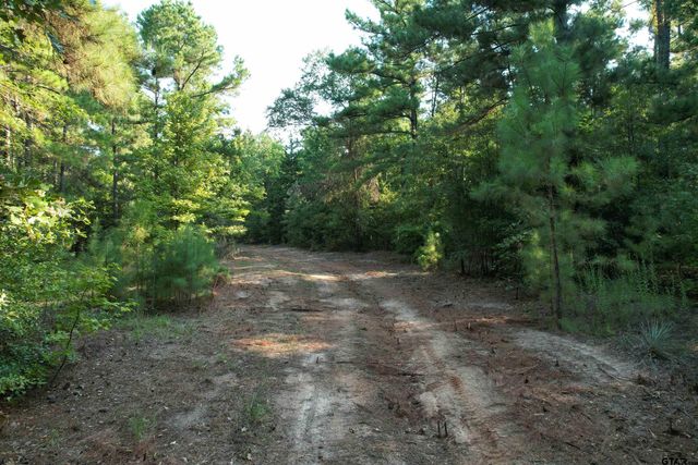 TBD ACR 1220, Grapeland, TX 75844