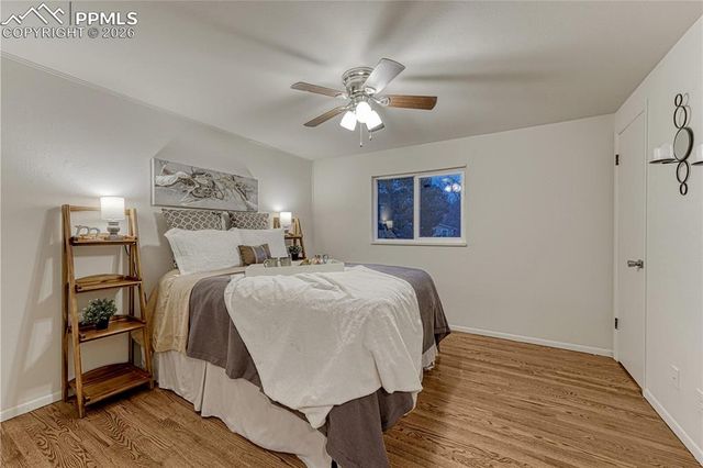 4169 Hollow Road, Colorado Springs, CO 80917