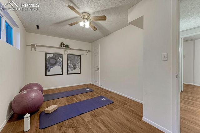 4169 Hollow Road, Colorado Springs, CO 80917