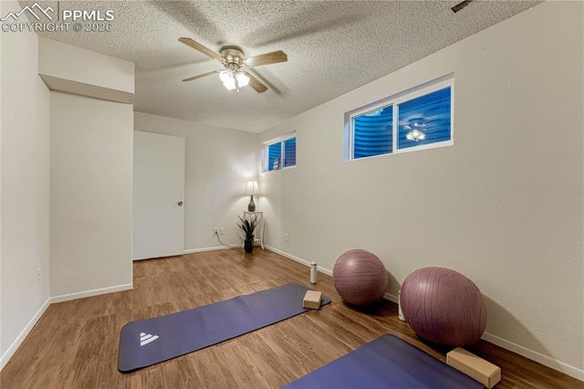 4169 Hollow Road, Colorado Springs, CO 80917